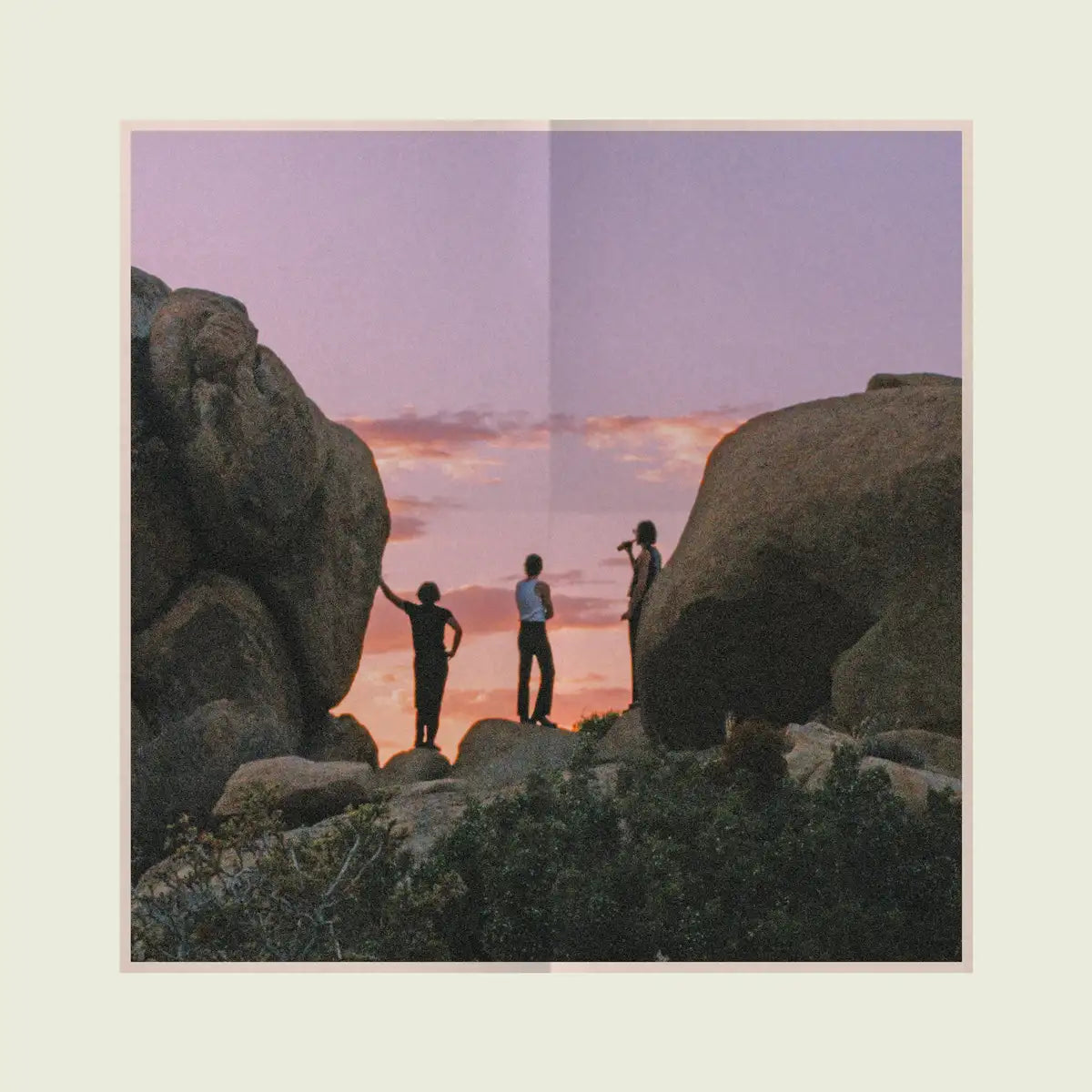 The Grown-Ups Are Talking - Deluxe Tortoiseshell Vinyl + Signed Poster